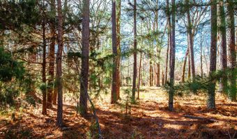 MISTLETOE RD lot 7, Appling, GA 30802