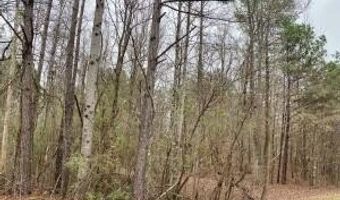 ALTHEA Loop lot 43, Alexander City, AL 35010
