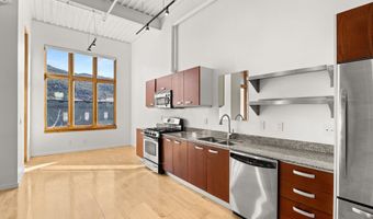 231 Robinson St 226, Basalt, CO 81621