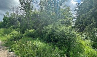 Townline Road, Angelica, NY 14709