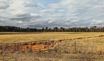 14301 Mann Ln, Alexander, AR 72002