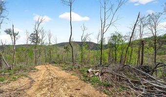 61 AC Hidden Cove Ln, Allons, TN 38541