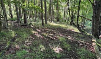 Lynch Road, Alfred, NY 14806