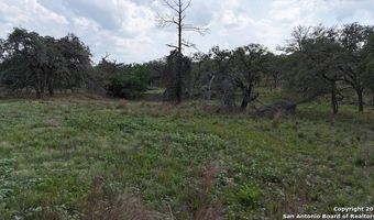 1228 Morning Glory Ln, Adkins, TX 78101