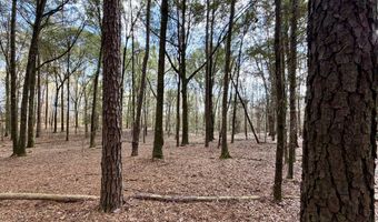County Road 72, Ariton, AL 36311