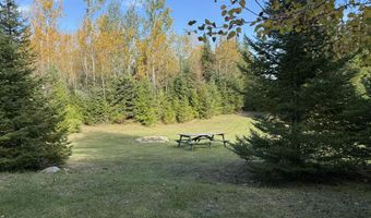 9415 Wreck Rd, Alpena, MI 49707