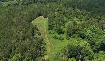 154 County Road 38 Acres, Banks, AL 36005