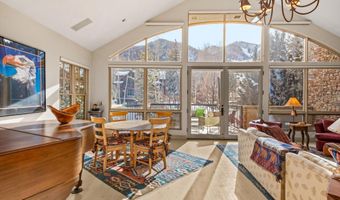 990 E Hopkins Ave, Aspen, CO 81611