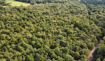 Flanagan Road, Arkadelphia, AR 71923