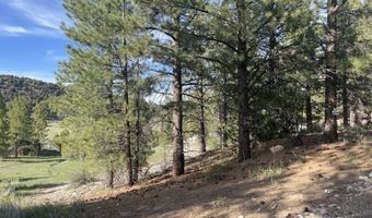 2820 N Dead Horse Lp, Alton, UT 84710