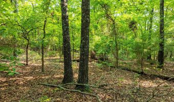 Cave Creek Road, Batesville, AR 72501