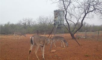 CR 145 & CR 173, Alice, TX 78332
