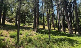 2904 Venado Dr, Arnold, CA 95223