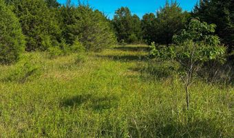 Co Rd 539, Ava, MO 65629