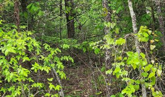 Strawberry Valley Road, Ash Flat, AR 72513