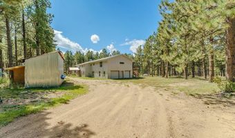 41 Susan Ln, Angel Fire, NM 87710