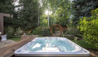 1263 Bunny Ct 1, Aspen, CO 81611