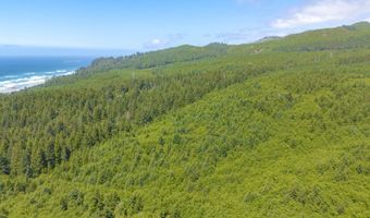 Shark Creek Ln, Arch Cape, OR 97102