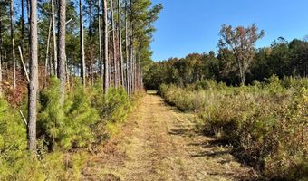 TBD Binnicker Bridge Road, Bamberg, SC 29003