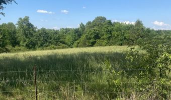 19 27 Acres County Road 656, Anderson, AL 35610