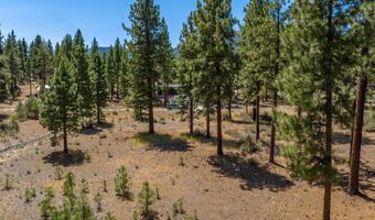 234 Redding Way, Carson City, NV 89705