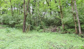 770 Sutton Rd, Anderson Twp., OH 45230