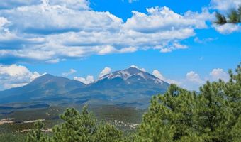23251 Elk Trl, Aguilar, CO 81020