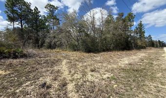 101 St Ct, Archer, FL 32618