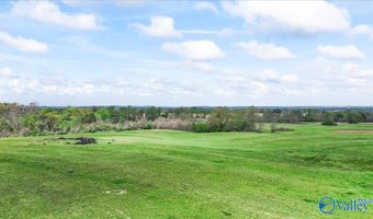 435 Sneadview Rd, Altoona, AL 35952