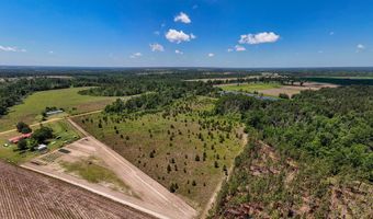 Lot # 3 - 6.2+/- Perry Horton, Adrian, GA 31002