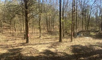 327 Pine Timber Ln, Bee Branch, AR 72039
