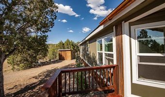 475 Run Around, Arboles, CO 81121