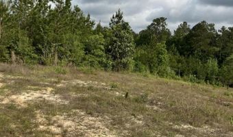 40 Acres Forestry Road 356, Beaumont, MS 39423