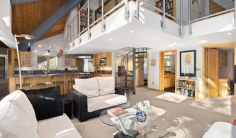 201 Midland Ave, Aspen, CO 81611