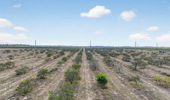 ALTURAS BABSON PARK CUTOFF, Bartow, FL 33830