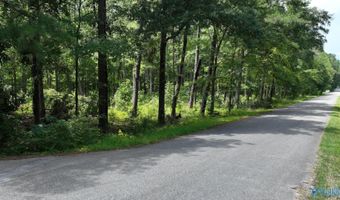 Wilcox Street SE, Attalla, AL 35954