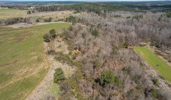County Road 208, Abbeville, MS 38601