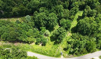 TBD Paint Fork Rd, Barnardsville, NC 28709
