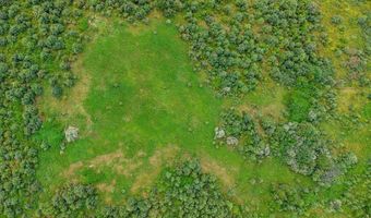 62- Acres Grandmas Hill Rd, Amherst, VA 24521