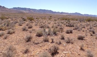 308-22 395 N Palo Verde Dr, Chloride, AZ 86431