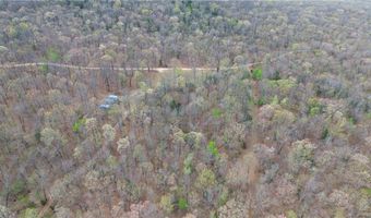 320 Acres CR 921, Alpena, AR 72611