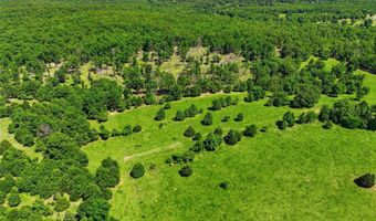 210 County Road 320, Alton, MO 65606
