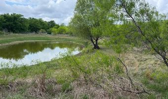 1980 Fm 933, Aquilla, TX 76622