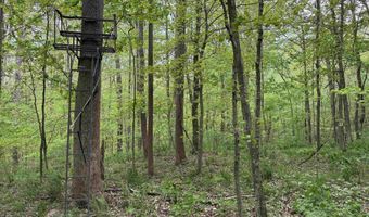 7046 S State Road 145, Birdseye, IN 47513