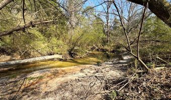 000 Mt Pleasant Ln SE, Bogue Chitto, MS 39629