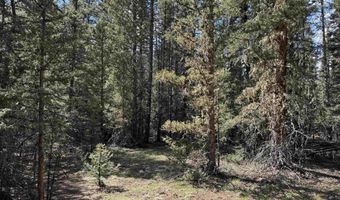 Lot 74 Happy Way, Angel Fire, NM 87710