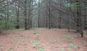 6 Xx US Highway 8, Apple River, WI 54001
