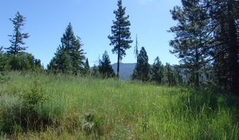 Skunk Creek Road, Cascade, ID 83611