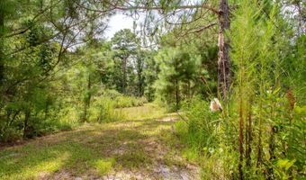 2512 Beulah Church Rd, Alma, GA 31510