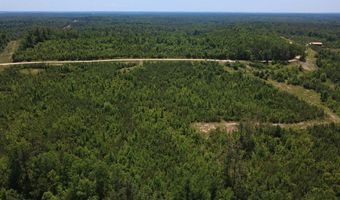 Tucker Road lot 8, Bath Springs, TN 38311